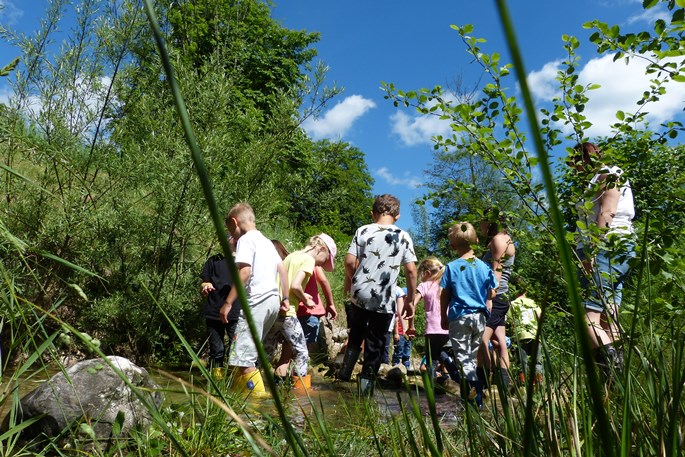 WasserCluster Lunz – Biologische Station GmbH