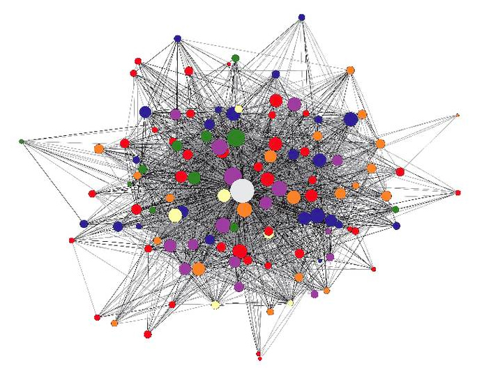 komplexes Netzwerk