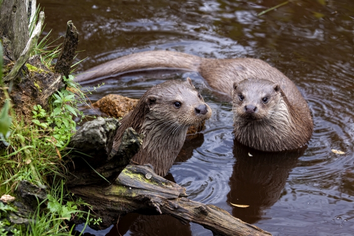 UnterWasserReich Schrems UnterWasserReich Schrems