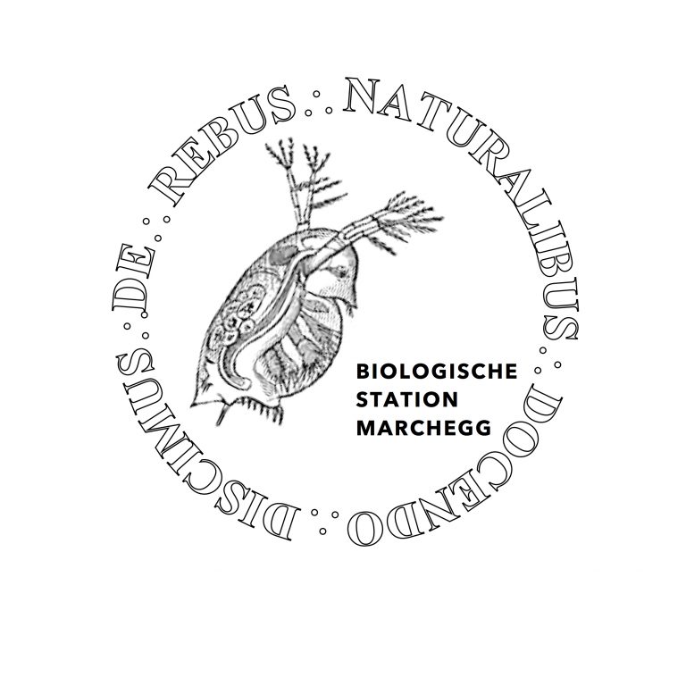 193_Biologische_Station_Marchegg_Logo