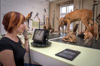 Audioguide_natur_800 Audioguide_natur_800