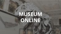 Museumonline Museumonline