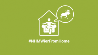 NHMWienFromHome NHMWienFromHome
