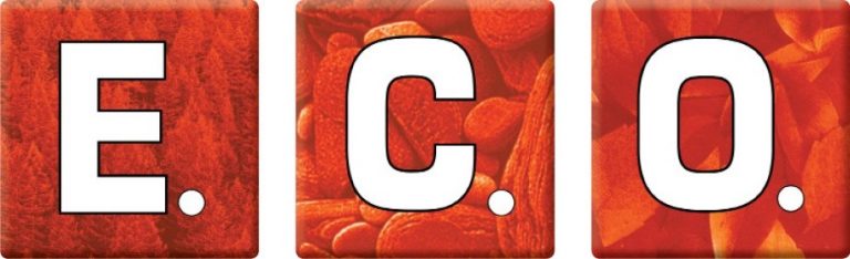 2021-02-23_603515cdc30da_ECO_LOGO_2013_mittel