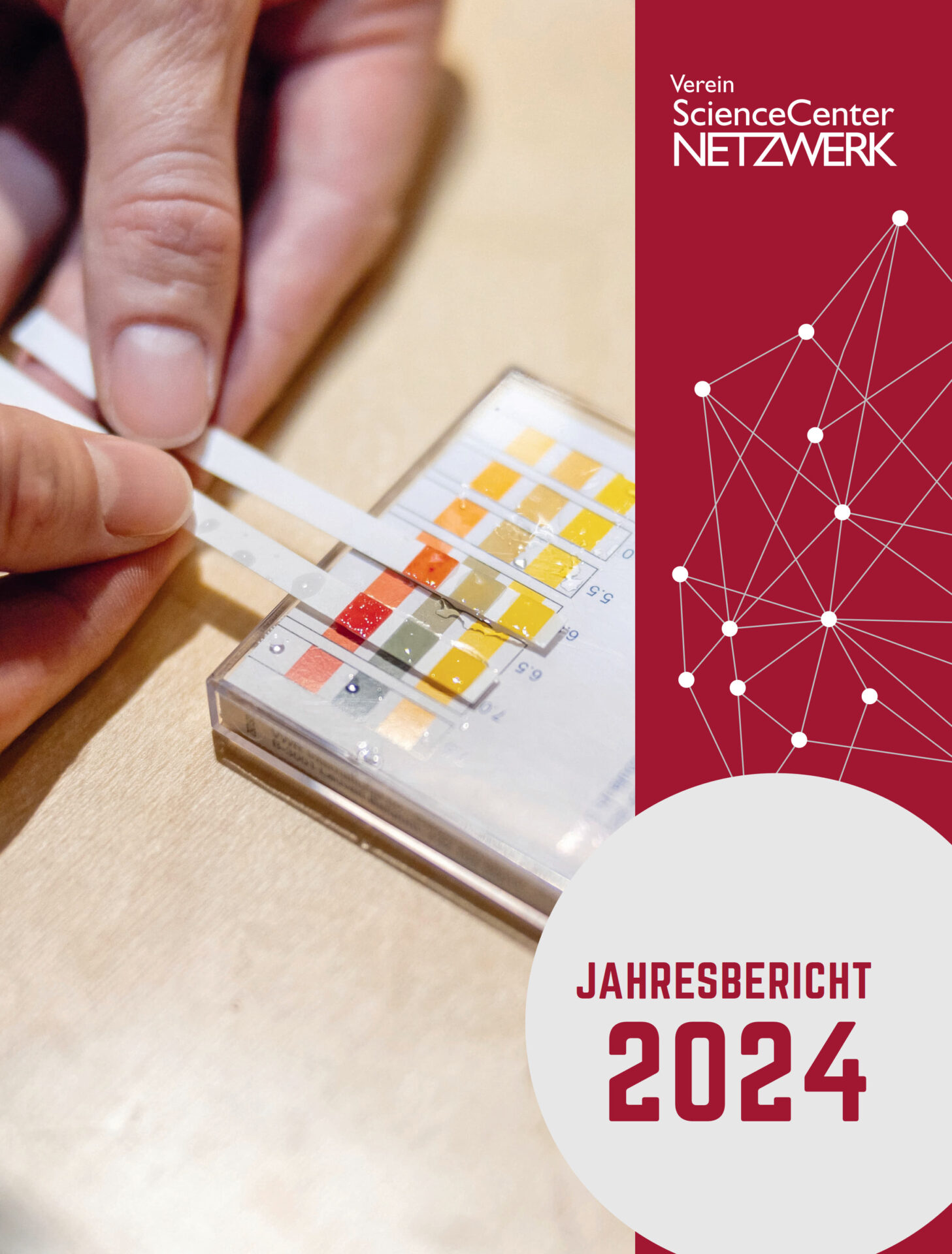 Jahresbericht 2024